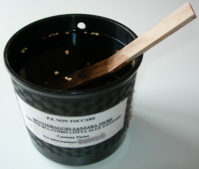 Bẫy trứng muỗi (ovitrap) dùng để giám sát Aedes