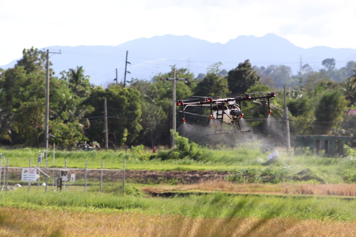 Trình diễn drone trên ruộng lúa thí nghiệm tại Viện Nghiên cứu Lúa Quốc tế (IRRI), Philippines, 11/2022
